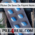 Black Ant Sex Pills viagra3